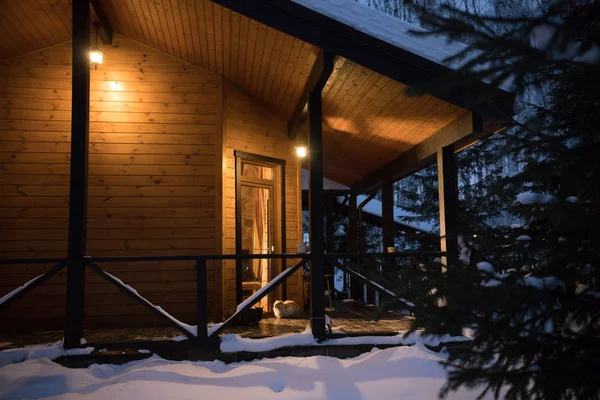 冬の森で美しいアーキテクチャ モダンの家。美しい照明。ドアの横に座っている猫 — ストック写真