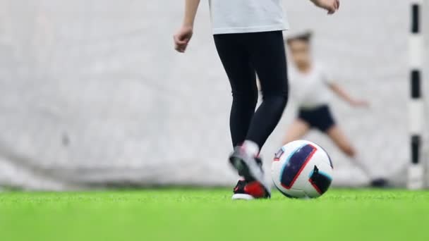 Arena de fútbol interior. Un niño pequeño se prepara para golpear el gol y patear la pelota — Vídeo de stock