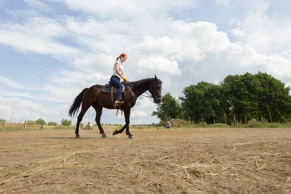 一个红头发的女人骑着马在田野上。背景上的绿色灌木 — 图库照片