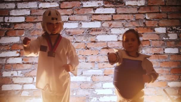 Studio szkoleń. Sztuki walki. Dwie małe dziewczynki podchodzi do kamery, pokazujące ich kopie — Wideo stockowe