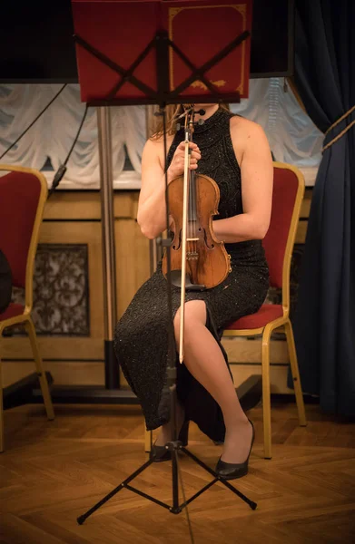 Una chica con un violín se sienta frente a las notas en una sala de conciertos —  Fotos de Stock