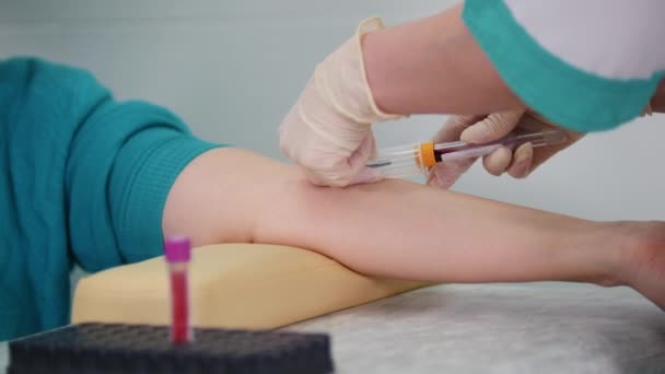 Att ta ett blodprov för att testa i röret och sätta den på stativet — Stockvideo