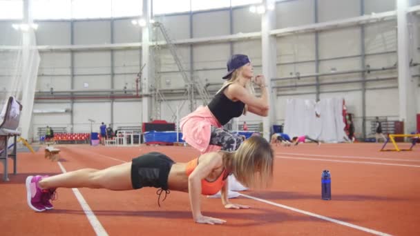 Fiatal sportos nő beleférjen sportruházat során push ups. Egy másik nő csinál zömök nadrágok — Stock videók