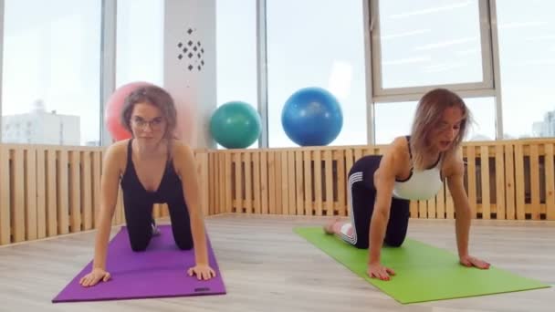 Mulheres jovens fazendo fitness no estúdio. A dobrar as costas. Aquecer. — Vídeo de Stock