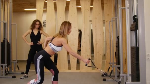 Junge Frauen beim Fitnesstraining im Fitnessstudio — Stockvideo