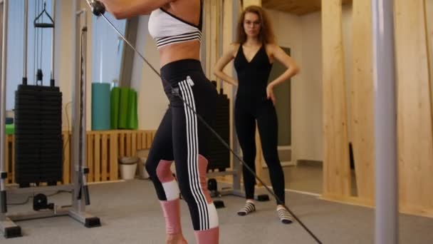Mujeres jóvenes haciendo ejercicio en el gimnasio. Una mujer haciendo ejercicios de fuerza en las manos — Vídeos de Stock