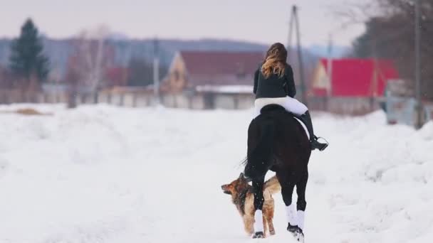 Зимовий час. Жінка верхи на коні в селі з собакою, що біжить біля них — стокове відео