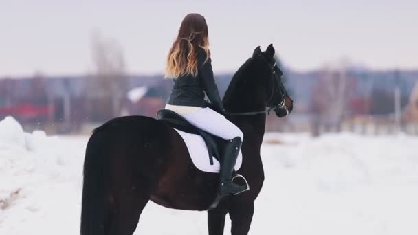 Una giovane donna felice con i capelli lunghi che cavalca un cavallo in un villaggio. In piedi su un terreno innevato — Video Stock