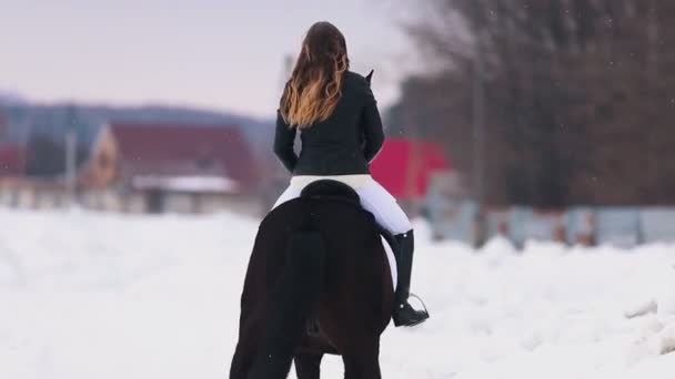 Uma jovem montando um cavalo em uma aldeia — Vídeo de Stock