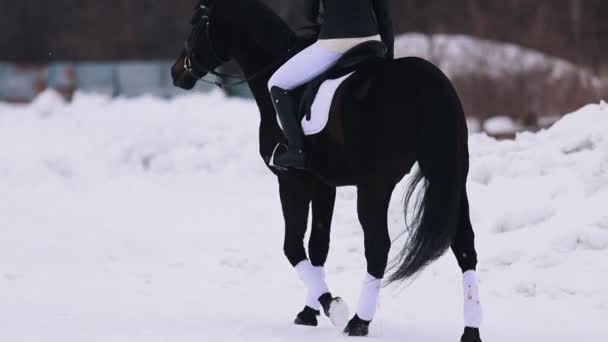 En kvinna som rider en häst utanför — Stockvideo