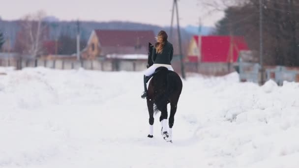 Mladá žena s dlouhými vlasy, jízdu na koni, v jedné vesnici. Pohled zezadu — Stock video
