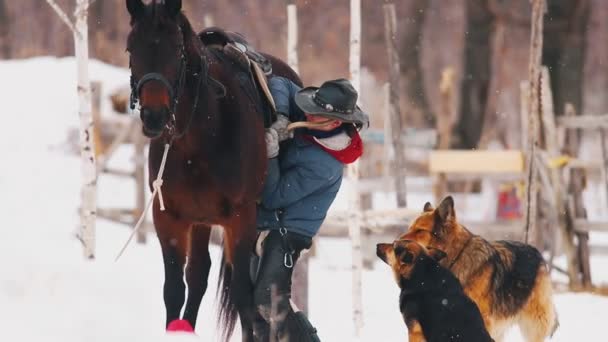 Зимнее время. Женщина сажает седло на лошадь — стоковое видео