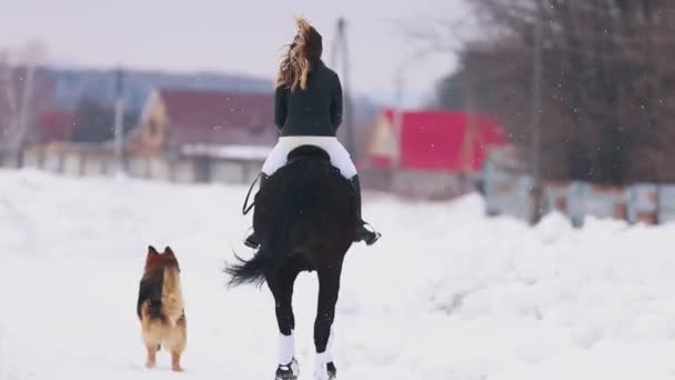 Женщина верхом на лошади в деревне с собакой, бегущей рядом с ними — стоковое видео