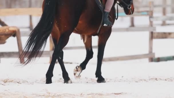En ung kvinna Rider en brun häst i en by — Stockvideo