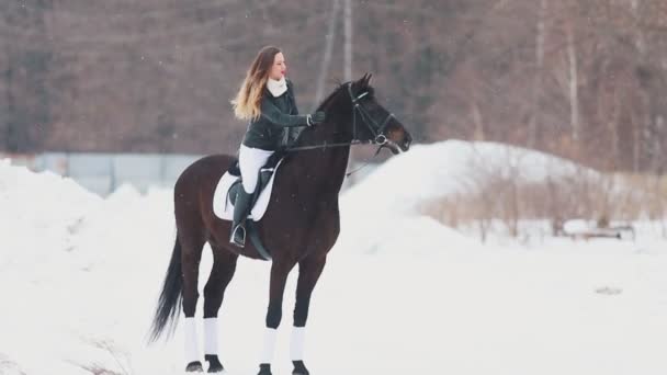 Женщина на лошади, стоящая в заснеженном поле — стоковое видео