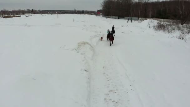 En grupp unga kvinnor Rider hästar på ett snöigt fält. Går mot kameran — Stockvideo