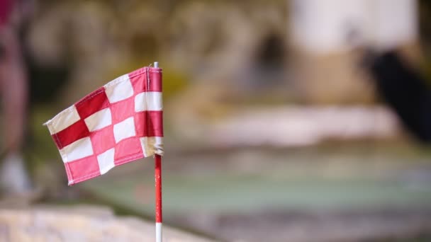 Una joven jugando mini golf. Bandera de acabado en primer plano — Vídeos de Stock