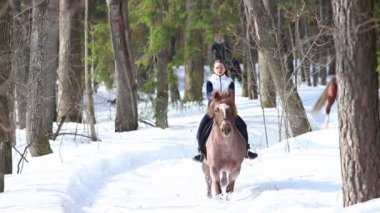 Erken bahar. Ormanda at sürme bir kadın