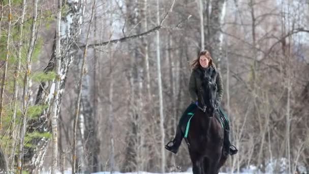 Vorfrühling. eine lächelnde Frau auf einem Pferd im Wald — Stockvideo
