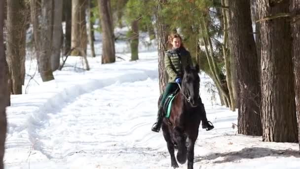 Eine Frau reitet bei sonnigem Wetter auf einem dunkelbraunen Pferd im Wald — Stockvideo