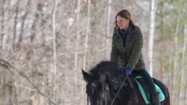 Een vrouw met lang haar berijden een bruin paard in het bos — Stockvideo