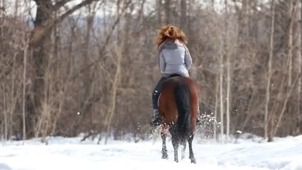 雪の降る地面の森で馬の上を走っている女性 — ストック動画