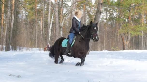Snowy forest at spring. Happy woman riding a horse — Stock Video