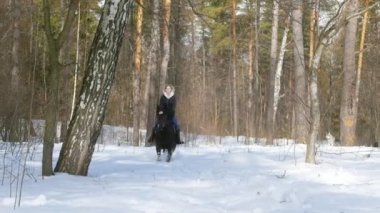 Baharda karlı orman. Bir kadın karlı bir yere karanlık bir at sürme