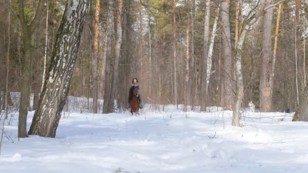 Forêt enneigée au printemps. Une femme chevauchant un cheval sur un terrain enneigé — Video