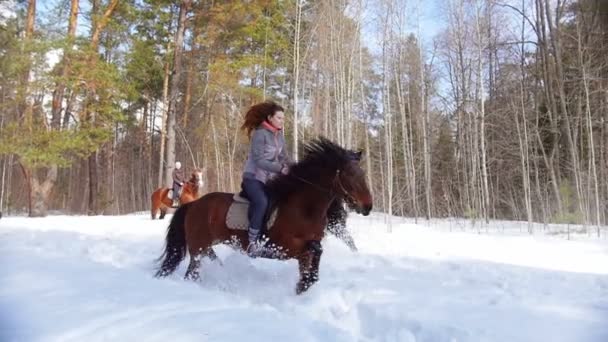Verschneiter Wald im Frühling. Frauen auf Pferden auf schneebedecktem Boden — Stockvideo