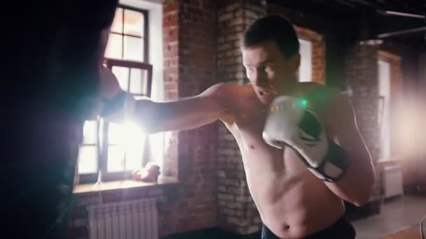 明るいジムでパンチバッグを持つ男ボクサーのトレーニング — ストック動画