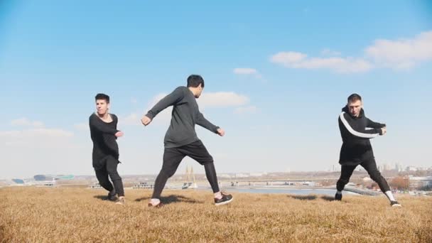 Três jovens realizando sincronicamente truques acrobáticos na grama — Vídeo de Stock