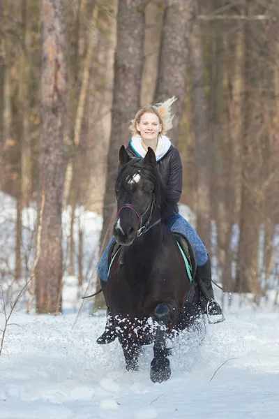 一个年轻女子在雪地森林里骑着一匹黑马 — 图库照片