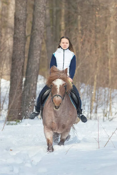 冬の森で茶色の馬に乗る若い女性 — ストック写真