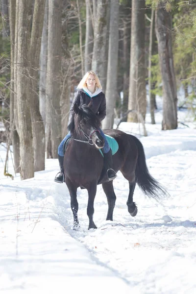 冬季森林一个年轻的金发女郎骑着黑马 — 图库照片