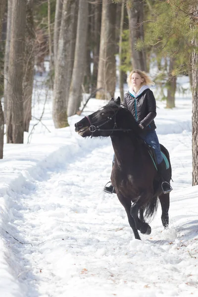 Une forêt d'hiver. Une jeune femme à cheval — Photo