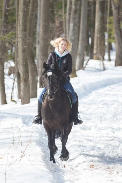 冬季森林一个年轻的金发女郎在雪地上骑马 — 图库照片