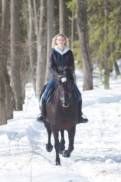 Une forêt d'hiver. Une jeune femme vêtue d'une veste chaude chevauchant un cheval noir sur un sol enneigé — Photo