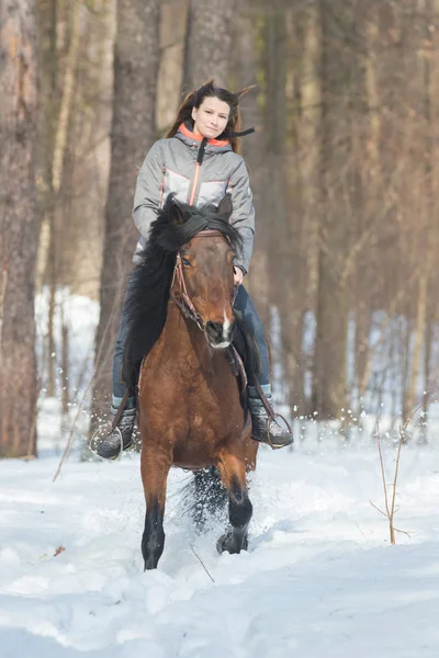 一个穿着暖和夹克的女人在森林里骑着一匹棕色的马 — 图库照片