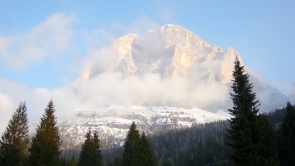 Dolomiterna. Vackert landskap av ett berg och grön skog — Stockvideo