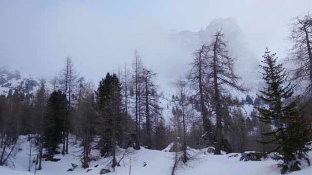 多洛米蒂。山林的风景 — 图库视频影像