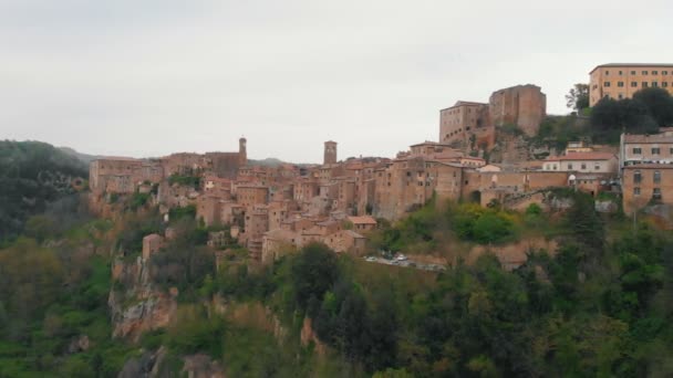 Aerial view on the old town surrounded by forest — Stock Video