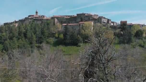 Vista aérea sobre el casco antiguo rodeado de bosque verde — Vídeo de stock