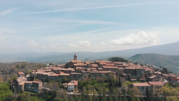 Vista aérea sobre el casco antiguo rodeado de bosque. Muchos edificios hechos de ladrillos anaranjados — Vídeo de stock