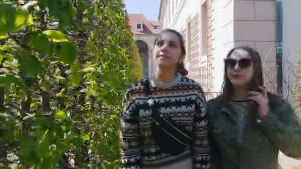 Zwei junge Frauen spazieren zwischen Zierpflanzen — Stockvideo