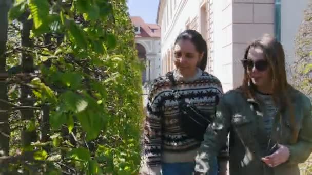 Dos mujeres jóvenes caminando entre plantas decorativas. Una mujer con gafas toca las hojas — Vídeo de stock