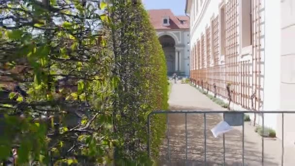 Una joven pareja caminando entre plantas decorativas — Vídeos de Stock