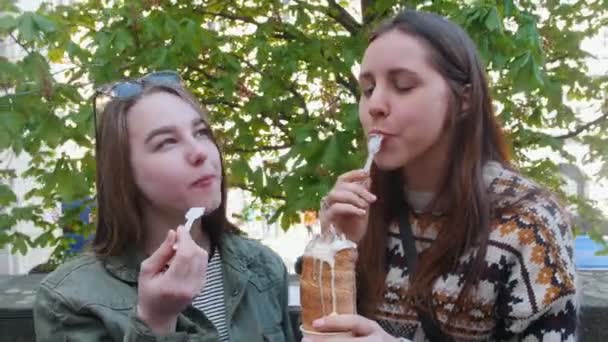 Δύο νεαρές γυναίκες κάθονται στο πάρκο και τρώνε τσεχικό παγωτό — Αρχείο Βίντεο