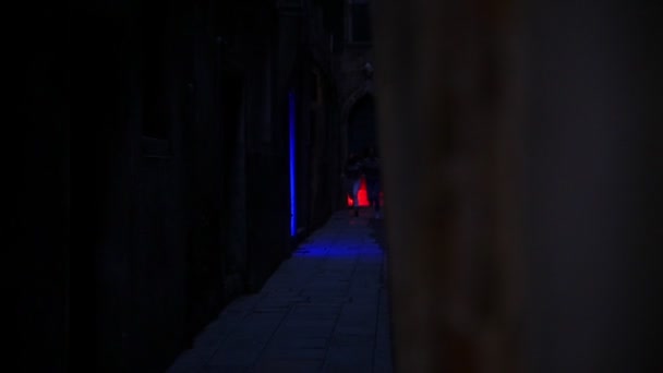 Silhouettes of running women in scary dark neon corridor — Stock Video