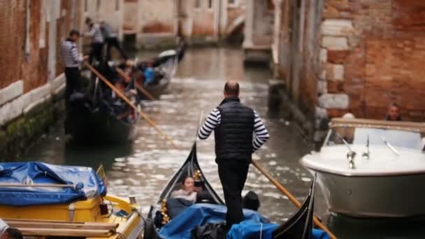 29-04-2019 ITALY, VENICE: Excursions by the water channels on canoes. Sailing — Stock Video